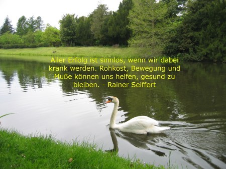 IMG_RSZitatSchwan2524