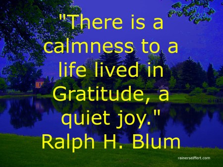 IMG_WörlitzBlum2480