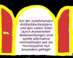 bildblumblanc02227