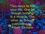 IMG_BUGAEinstein0250
