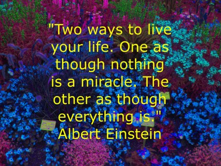IMG_BUGAEinstein0250
