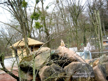 Zoo Aachen, Germany