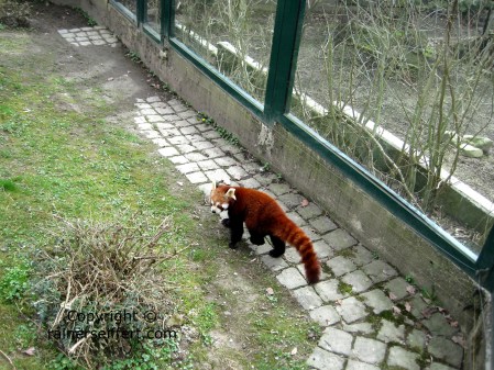 Zoo Aachen, Germany