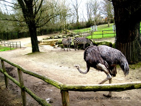 Zoo Aachen, Germany