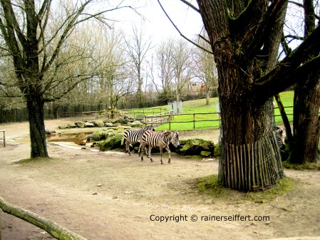 Zoo Aachen, Germany