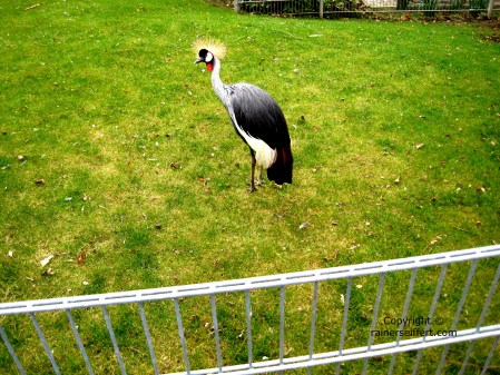 Zoo Aachen, Germany