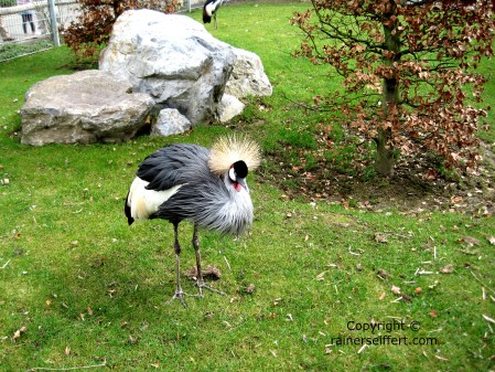 Zoo Aachen, Germany