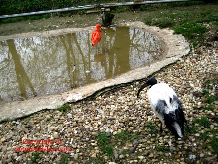 Zoo Aachen, Germany