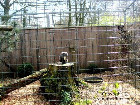 Zoo Aachen, Germany