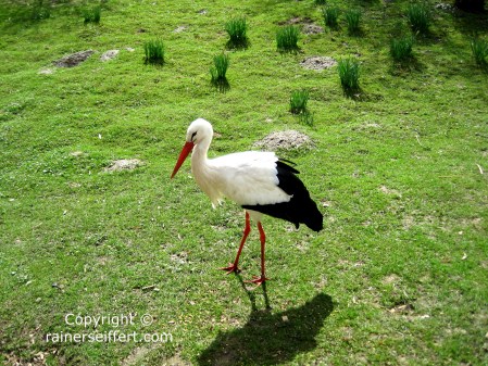 Zoo Aachen, Germany