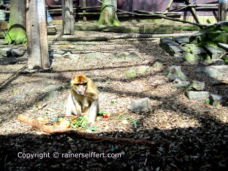 Zoo Aachen, Germany