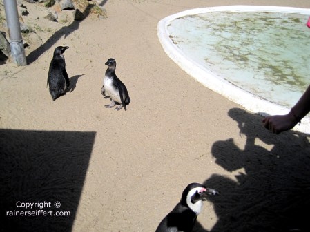 Zoo Aachen, Germany