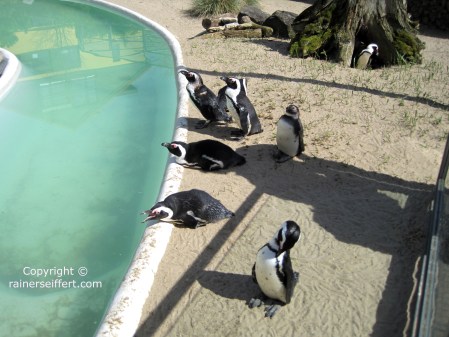 Zoo Aachen, Germany