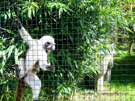 Zoo Aachen, Germany