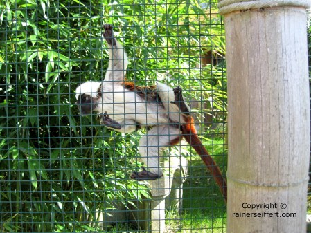 Zoo Aachen, Germany